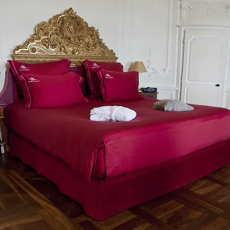 Chateau De Hotel Mercues