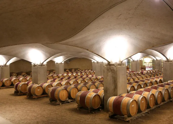 シャトー ド メルキュエス ホテル 4*