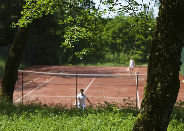 ホテル シャトー ド メルキュエス 4*